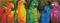 Diamond Dotz Rainbow Parrots 30x77cm timanttityö – kuva 1