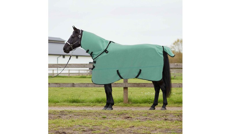 vidaXL Hevospeitto Erityinen vihreä 125 cm Polyesteri