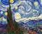 Figure'd Art numeromaalaus Van Gogh Starry – kuva 1