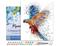 Figure'd Art numeromaalaus Parrot – kuva 1