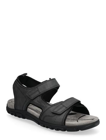 GEOX Uomo Sandal Strada B - Brown - 46