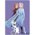 Disney Frozen Purple Polar Huopa 100x140 cm