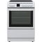 Logik LF60IW24N, induktioliesi – kuva 1