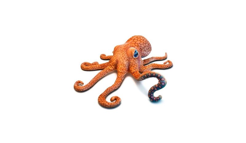 Giant Octopus – kuva 1/2