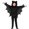 BAT (huppari) – kuva 1