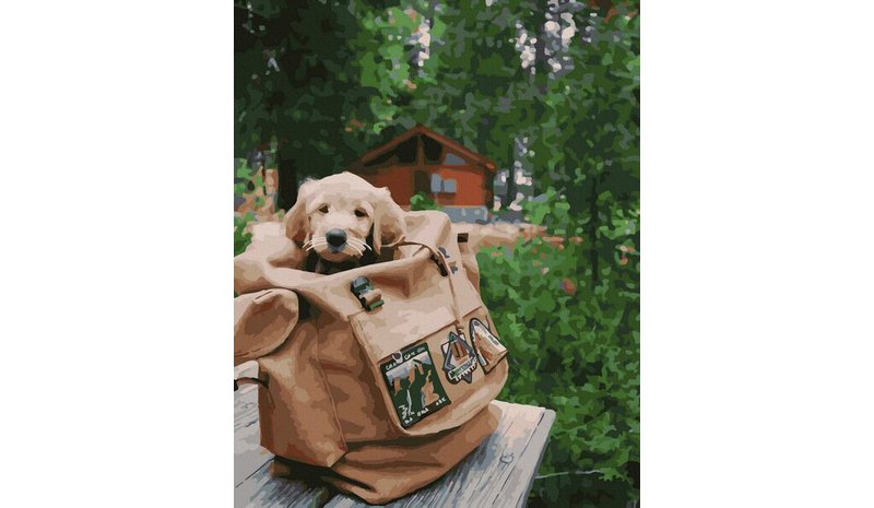 Numeromaalaus 40x50 cm. Puppy in a backpack