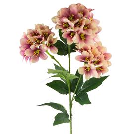 Tekokukka - Hortensia, Vanilja-luumu, 72 cm