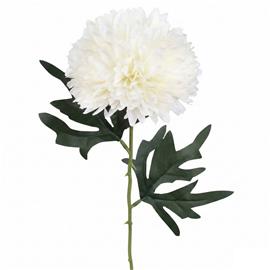 Tekokukka - Kermanvalkoinen krysanteemi, 55cm