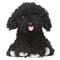 TOPModel - Plush Dog Black 16 cm - () – kuva 1