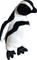 Pehmo humboldt pingviini 18cm – kuva 1