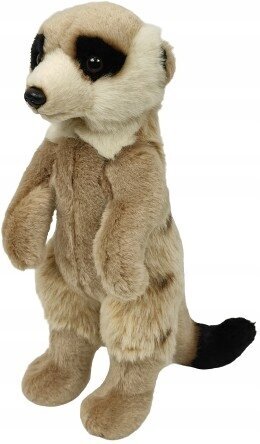 Dubi Bear Meerkat 26cm pehmolelu lapsille – kuva 1/1
