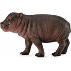 Patsas Virtahepo Collecta