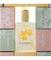 T.LeClerc Le Poudre Frangipani Eau de Parfum 50 ml – kuva 1