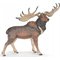 Megaloceros – kuva 1