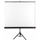 -Projektorin näyttö jalustalla AVTEK Tripod Standard, 150 x 150 cm, (1:1)