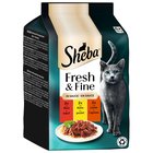 Sheba Fresh & Fine 12 x 50 g - nauta, kana & lammas kastikkeessa