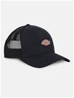 Dickies Hanston Trucker lippis