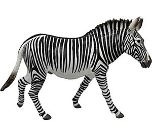 Collecta Grevy Zebras Xl -hahmo