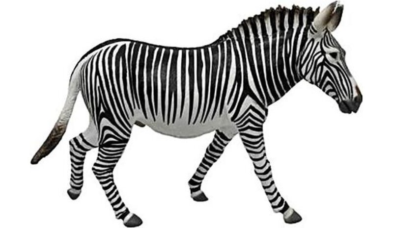 Collecta Grevy Zebras Xl -hahmo