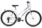 Cyclette Elea 28' 7v 48cm polkupyörä