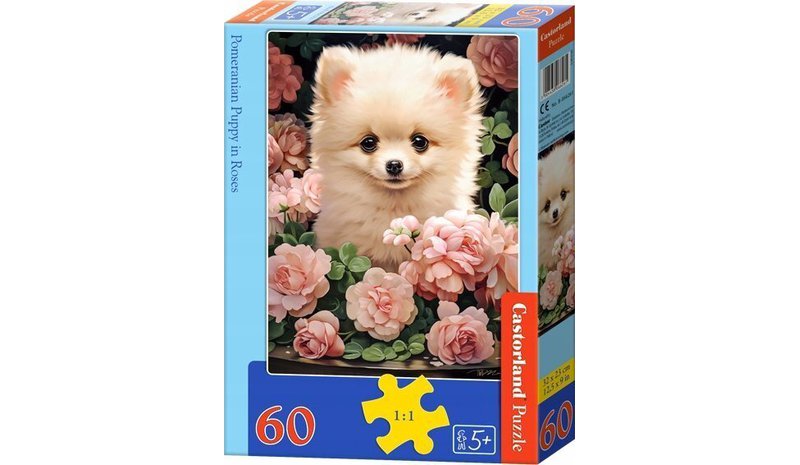 Palapeli 60 osaa: Pomeranianpystykorvapentu – kuva 1/1