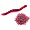 Tekomadot PUNAINEN Dendrobena Dendrobena Dew 3.5 cm 100x – kuva 1