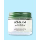 Lebelage Centella Moisture Cream - 70 ml