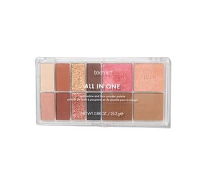 Technic Eyeshadow and Face Palette All in One 25 g