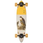 Globe Pintail 34"" Complete falcon