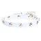 DARK Leather Star Stud Bracelet Mini White – kuva 1