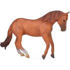 Australian hevostammafiguuri - Collecta