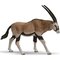 Figuuri antelope Oryx Papo – kuva 1