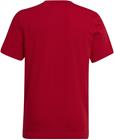 Adidas T-paita Ent22 Tee Y Red HC0446