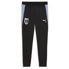 Puma Austria Slim Training Pants Men