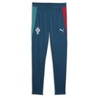 Puma Portugal Training Pants Youth