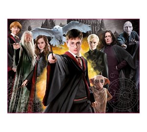 Educa? Harry Potter 1000p palapeli