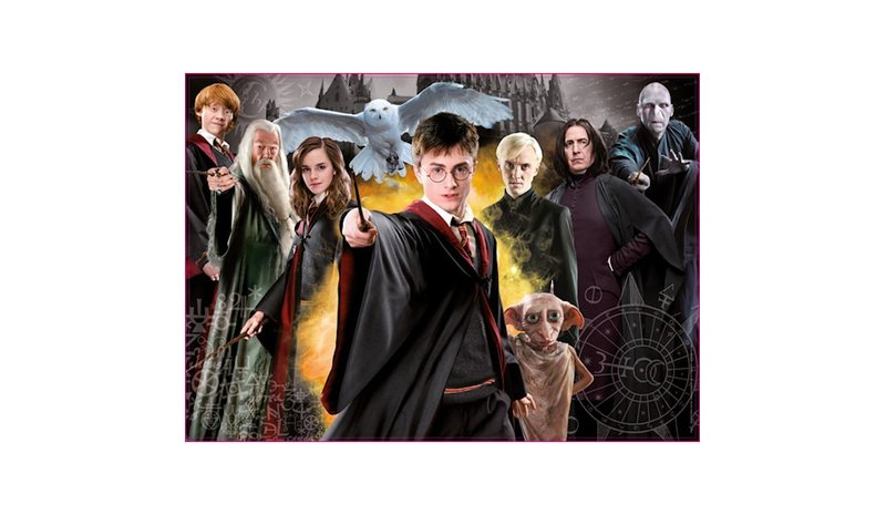 Educa? Harry Potter 1000p palapeli