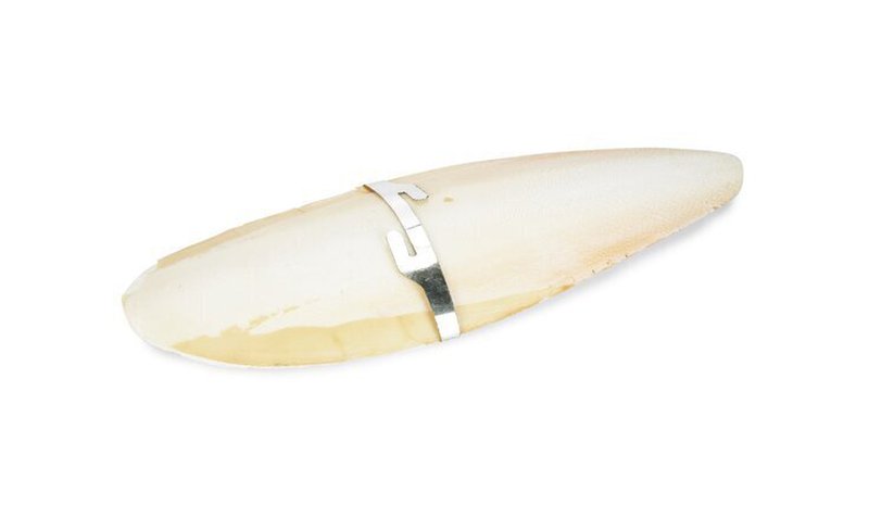 Beeztees Cuttlefish mineraalikivi, 20 g