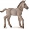 Collecta Foal Figurine blue Dun – kuva 1