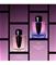Shiseido Ginza Night - 50 ml – kuva 7