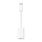 Apple USB-C to Lightning Adapter MUQX3ZM/A – kuva 2