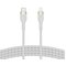 Belkin CAA011BT3MWH – kuva 3
