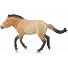 Collecta Przewalskin hevonenhahmo 88602