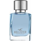 Hollister Wave Man - EdT 30 ml
