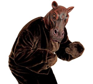 VIRTAHEVON KOKOPÄÄNAAMARI