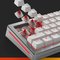 Glorious Fox Ultralight Linear 30g Keyboard Switches 110pcs – kuva 1