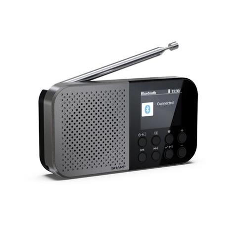 Sharp Osaka DR-P520 Portable DAB+/FM Radio Mono