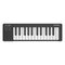 Arturia MicroLab mk3 MIDI Keyboard – kuva 3