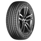 Maxxis Premitra 6 HP6 225/55R16 99 W XL