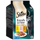 72x50g Fresh & Fine kana, lohi & kalkkuna kastikkeessa Pedigree